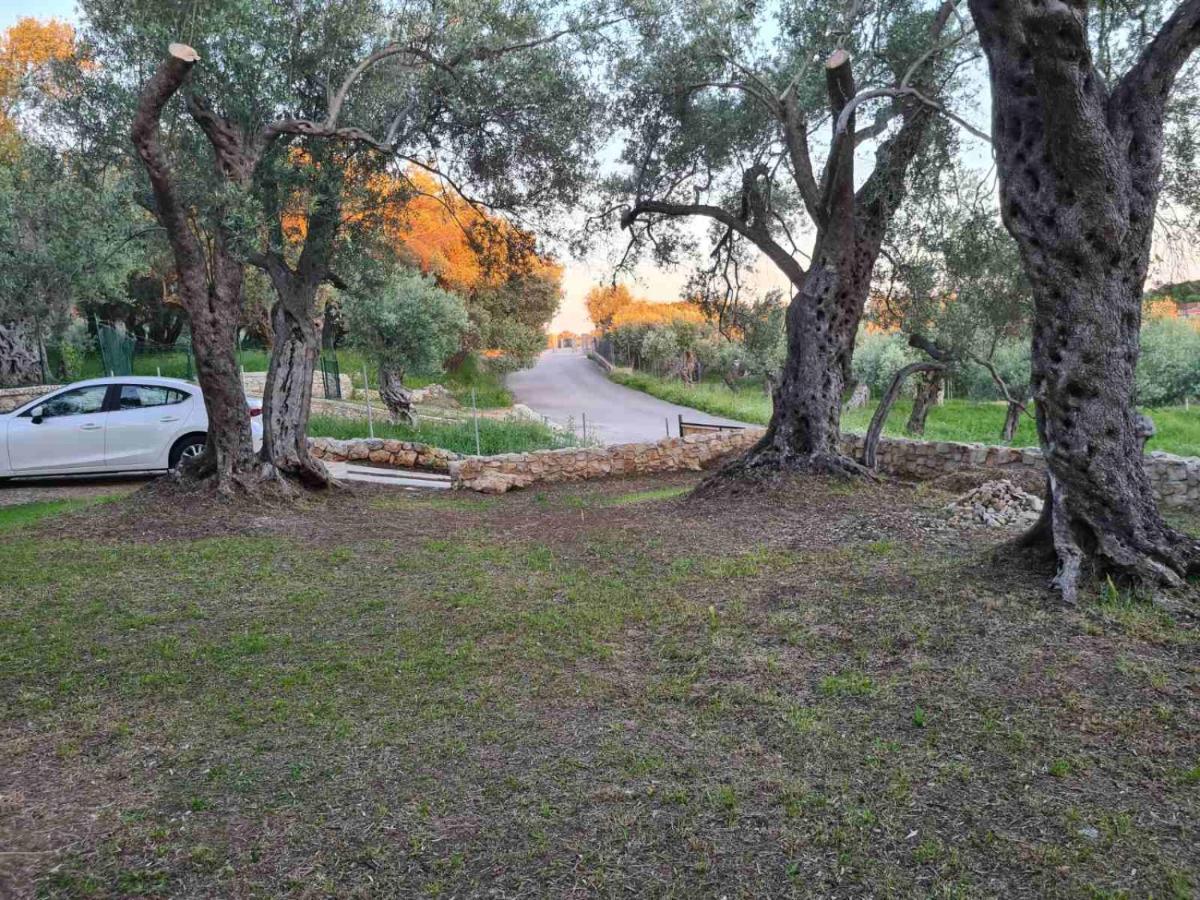 Olea Cottage Ulcinj Exterior photo