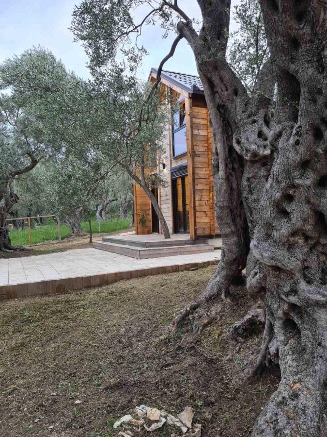 Olea Cottage Ulcinj Exterior photo