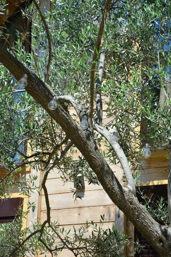 Olea Cottage Ulcinj Exterior photo
